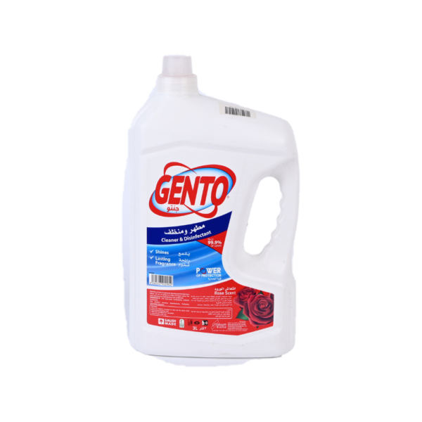 Ginto Floor Cleaner 3L